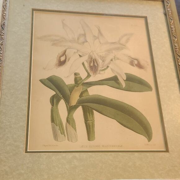 Antique J NUGENT LITHOGRAPH PRINT - Picture 1 of 5